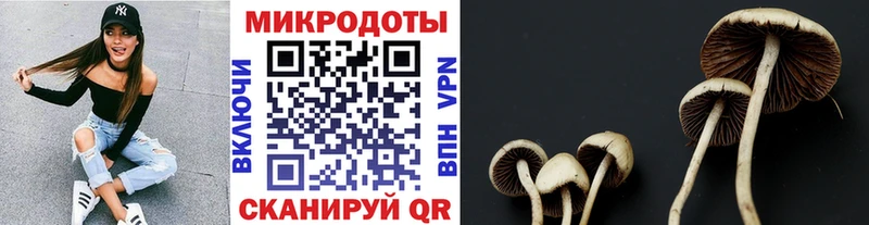 Псилоцибиновые грибы прущие грибы  Спас-Деменск 